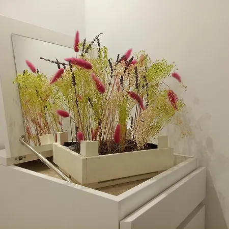 Franpavi アパート *